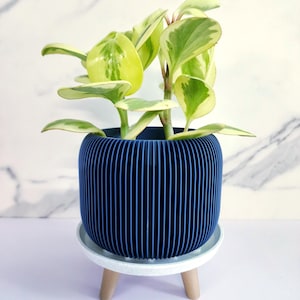 Può includere: Una pianta da interno con foglie variegate verdi e gialle in una fioriera blu navy a coste. La fioriera poggia su un piattino bianco con gambe in legno. Lo sfondo è un muro a motivi marmorei.