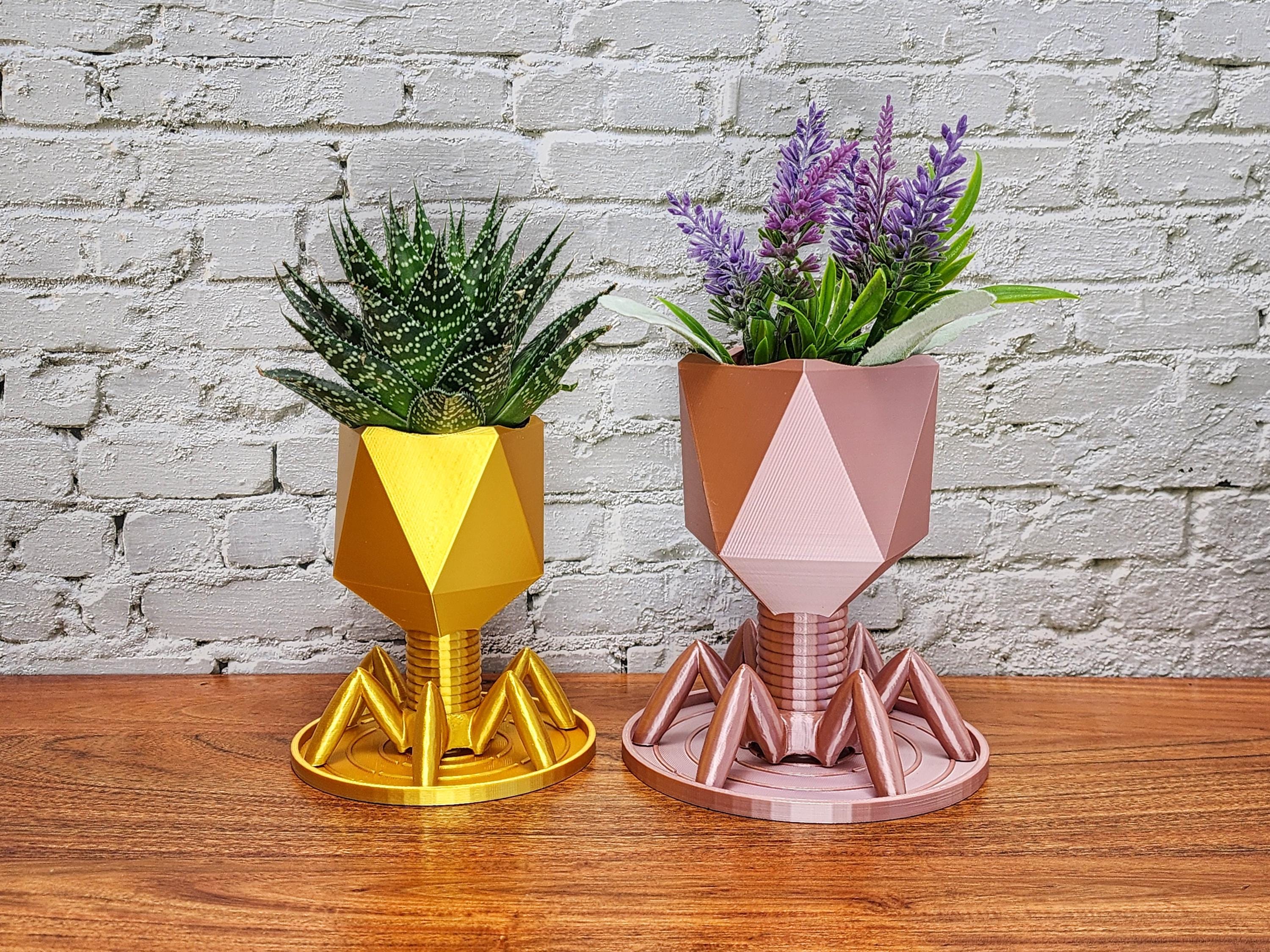 Bacteriophage planter / Pen Holder | Virus Planter | Biology Planter | Air plants and Succulent Planters | Desk Decor