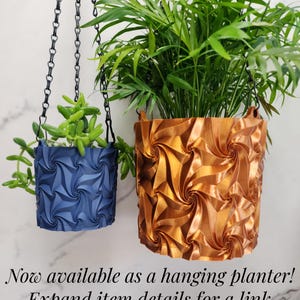 May include: Two hanging planters with a geometric spiral pattern suspended by black chains. The smaller planter is matte navy blue containing a green succulent, and the larger planter is metallic copper containing a green palm-like plant.