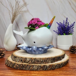 NarWhale Planter with Optional splash theme Drip Tray