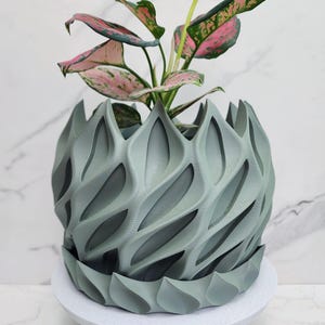 Peut inclure: Un pot de fleurs vert sauge avec un motif géométrique complexe en forme de feuilles répétées et une soucoupe assortie. Le pot contient une plante d'intérieur aux feuilles panachées vertes et roses avec un bouton floral jaune pâle.
