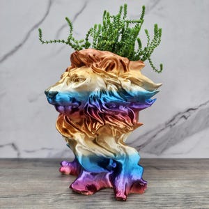 Lions Head Planter on Driftwood