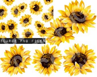 Free Free Sunflower Waterslide Svg 409 SVG PNG EPS DXF File