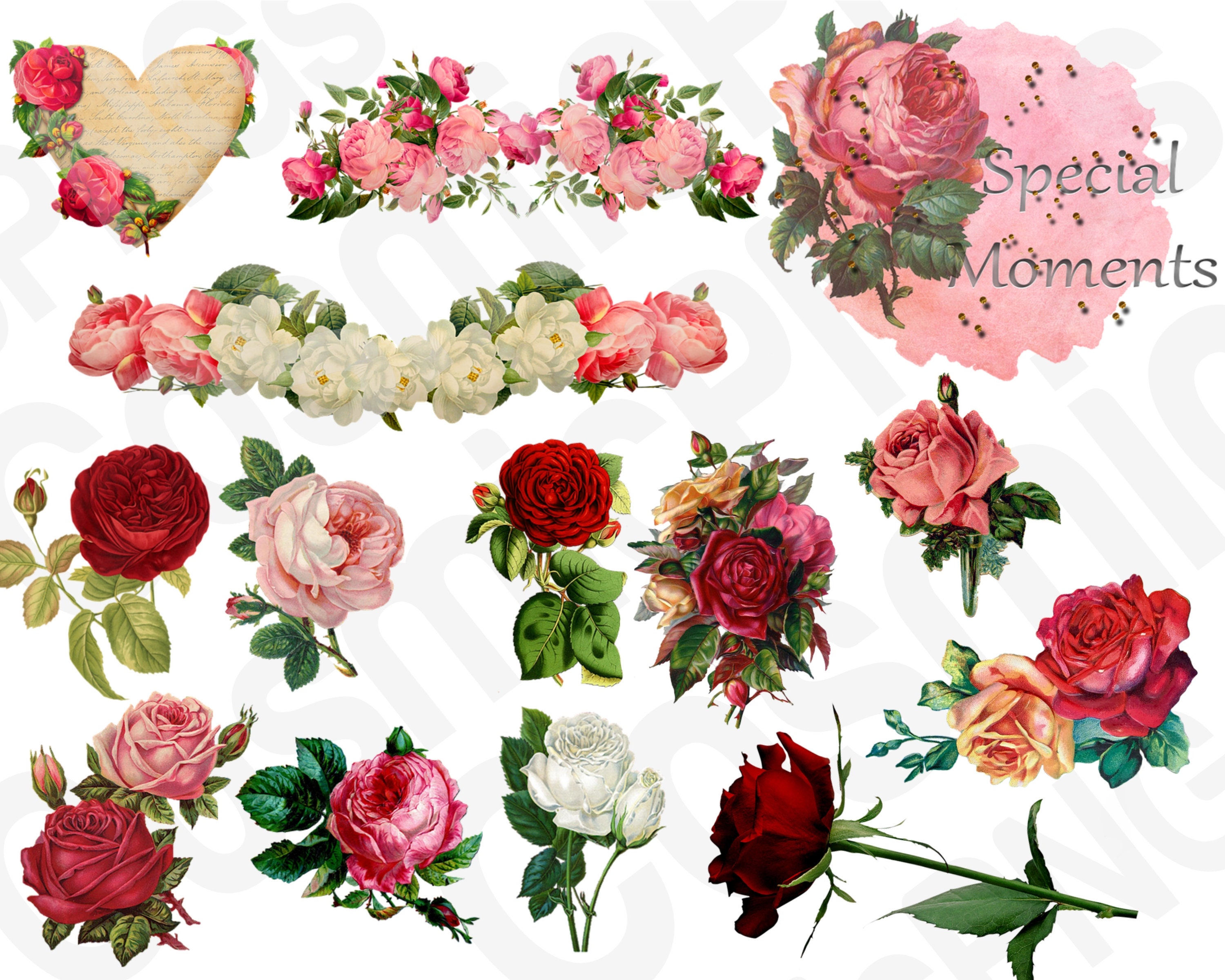 Download Rose Png Roses Svg Floral Svg Flower Svg Cut File Flower Etsy