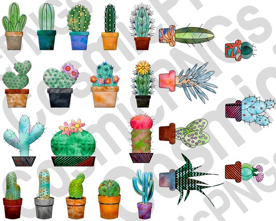 Cactus Png Succulent Svg Cactus Clipart Cacti Svg Etsy