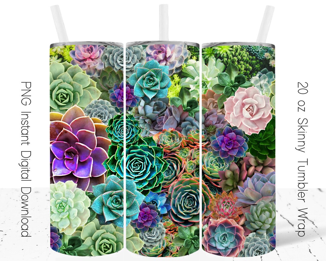 Succulent Tumbler Wrap 20oz Skinny Design Sublimation PNG Succulent ...