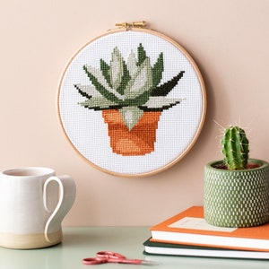 Cross Stitch Kit - Terracotta Succulent Pot - Stitch Happy.