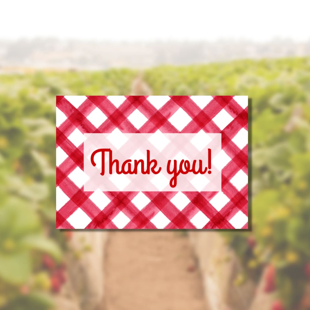 Picnic Birthday Thank You Bundle Etsy