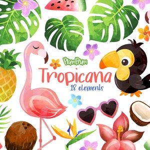 Tropical Watercolor Cliparts, Tropicana Clipart, Exotic Clipart, Flamingo Clipart, Toucan Clipart, Tropical Leaves, Hand Drawn Clipart