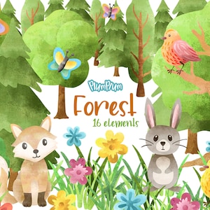 Bos Aquarel Clipart, Lente Clipart, Forest Elements, Spring Graphics, Woodland Animals, Forest Illustrations, Tree Clipart