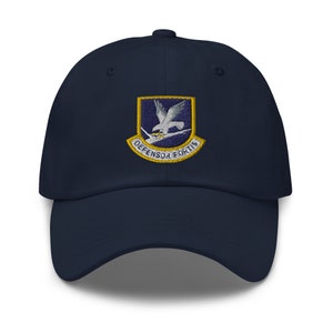 Air Force Security Forces Flash – USAF Defender Badge – Elite Military Police Emblem Embroidered Dad hat