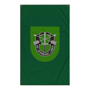 Army 10th Special Forces Group Flash  Flag