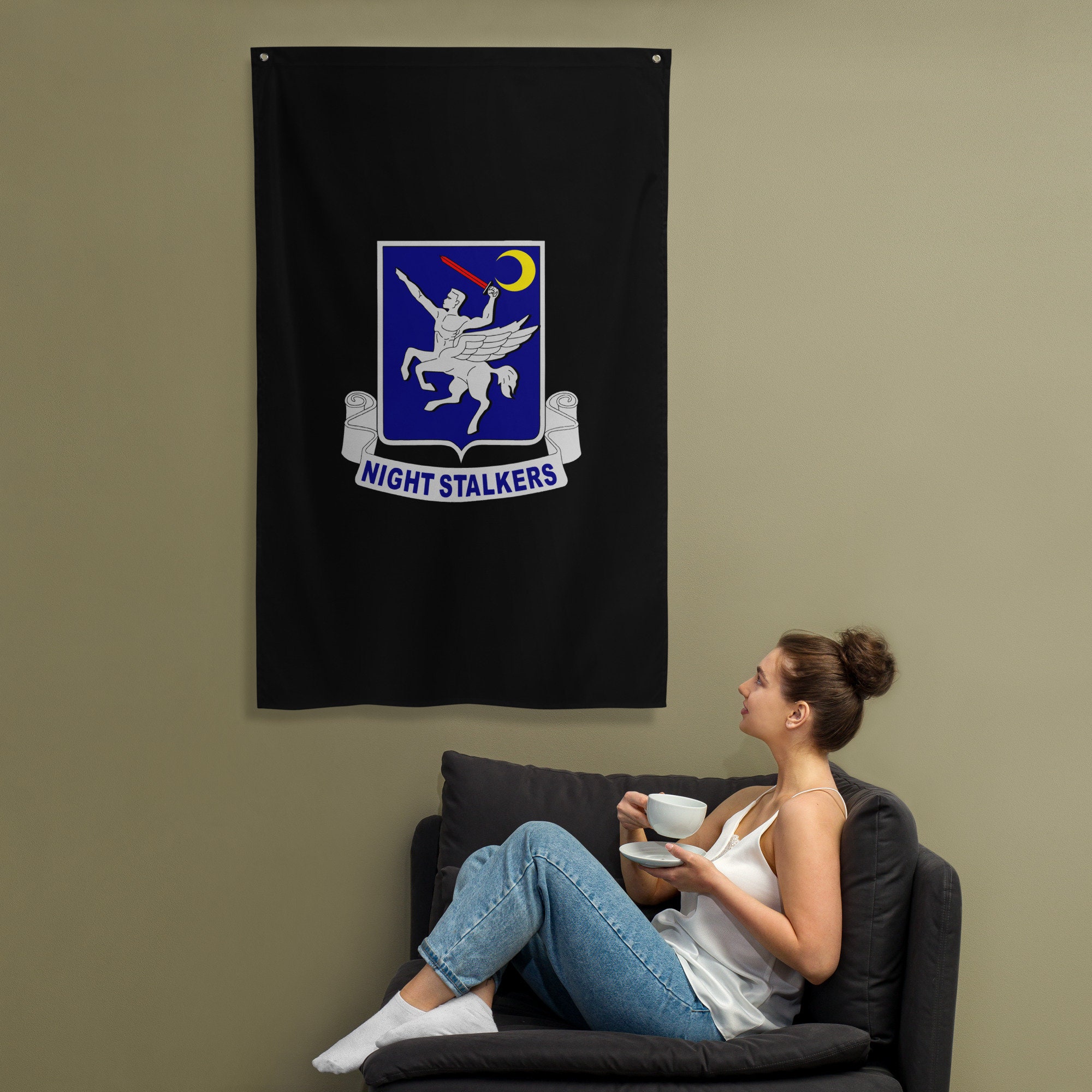 160th SOAR Night Stalkers Emblem – Special Operations Aviation Regiment ...