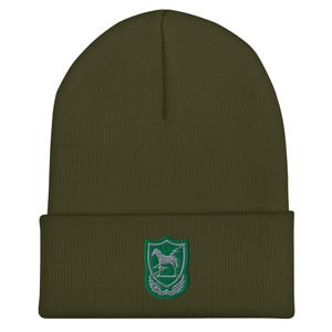 May include: A green beanie with a green and silver embroidered patch featuring a horse and lightning bolt. The patch is on a shield shape.