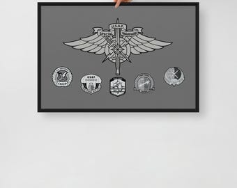 Emblemas de Guerra Especial de la USAF – Parches de Operaciones Especiales de la Fuerza Aérea / Lienzo enmarcado AFSPECWAR