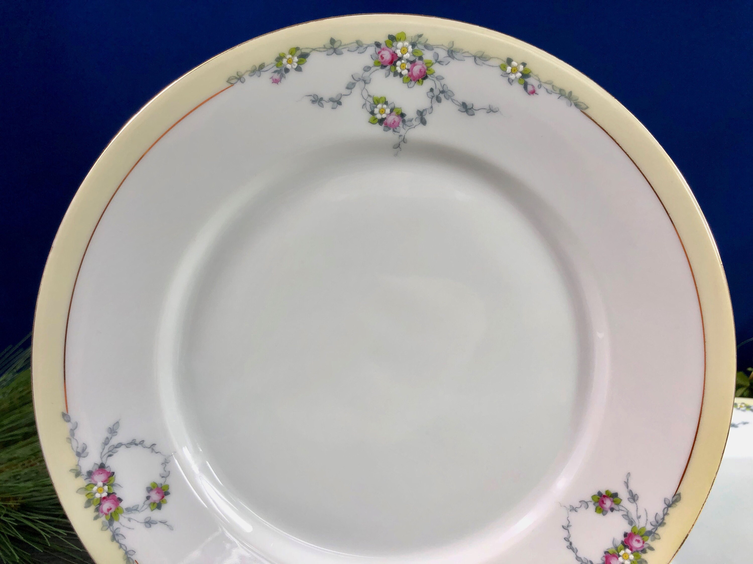 Set of 4 Vintage German Dinner Plates Tirschenreuth Studio Etsy