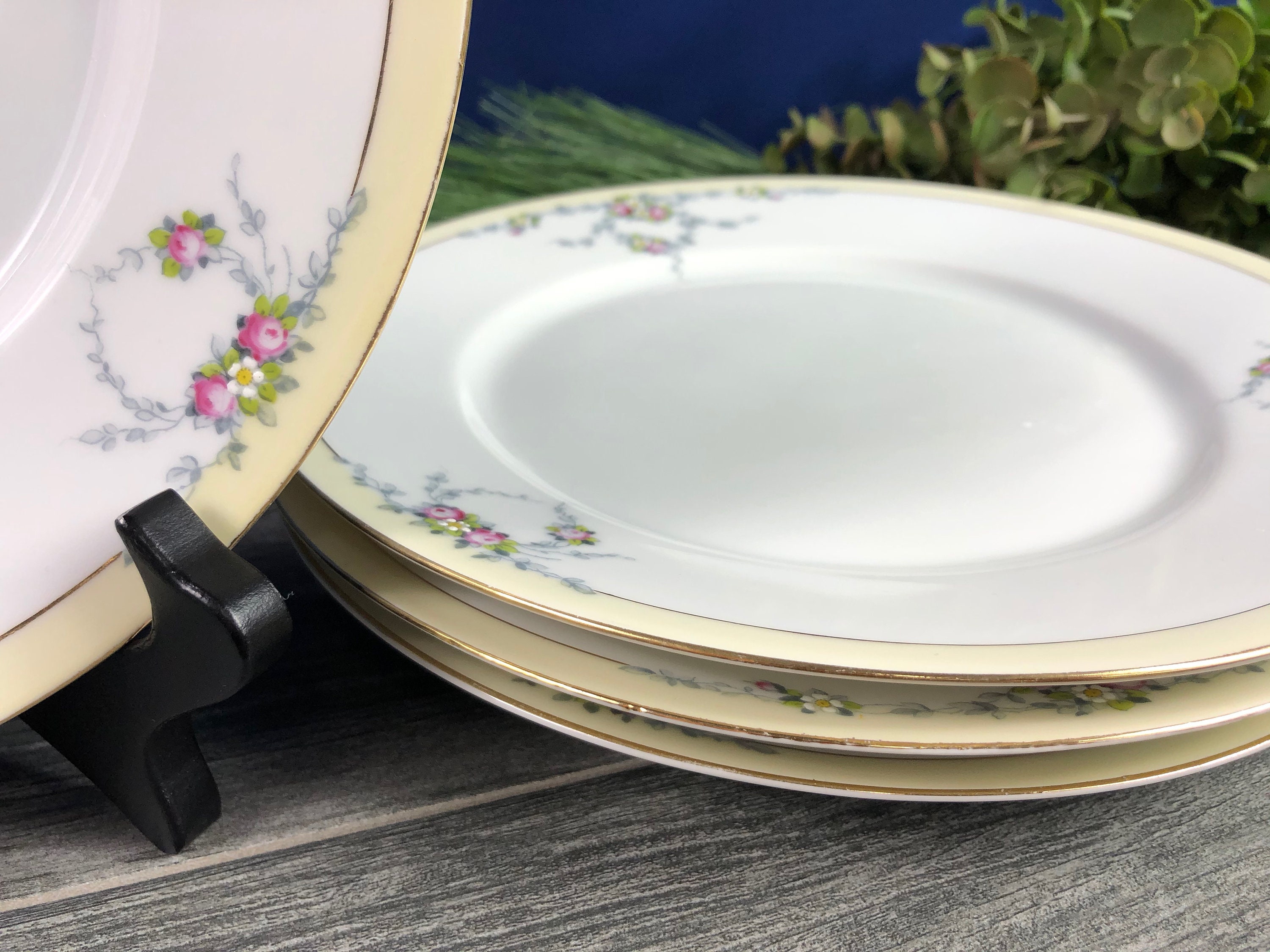 Set of 4 Vintage German Dinner Plates Tirschenreuth Studio Etsy