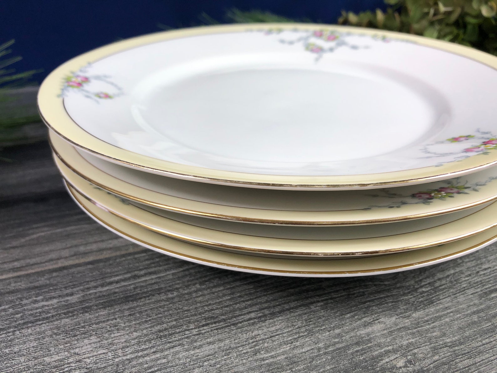 Set of 4 Vintage German Dinner Plates Tirschenreuth Studio Etsy