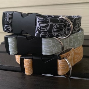 Fall Pumpkin Dog Collars