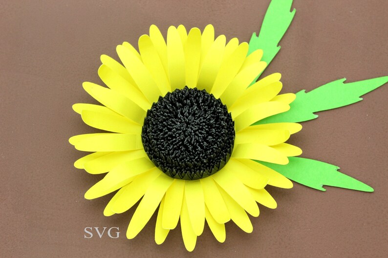 Download Paper Flower Template Svg And Printable Pdf Cricut Etsy SVG, PNG, EPS, DXF File