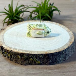May include: A ceramic fish figurine with green, yellow, and pink details. The fish is resting on a round, light-colored wooden slice. Green plants are in the background.