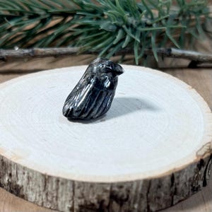 May include: A small, hand-carved figurine of a bird, likely a raven or crow, crafted from a dark, polished stone with visible grey and black marbling. The sculpture features a smooth, rounded body, a defined beak, and subtle wing details.