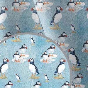 Tessuto Puffin, tessuto softshell, tessuto impermeabile, tessuto softshell, impermeabile per cani, tessuto impermeabile per giacca, impermeabile, Puffin, uccelli,