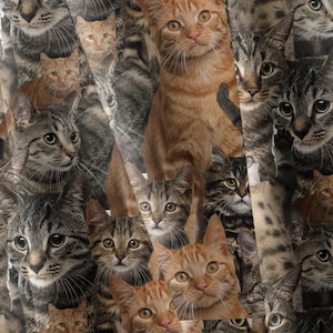 Cat Faces Waterproof Softshell Fabric, Outdoor Gear, Bag Material