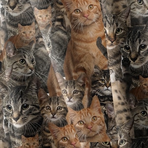 Tessuto softshell, tessuto impermeabile, tessuto softshell, impermeabile per cani, tessuto impermeabile per giacca, impermeabile, gatti, tessuto per gatti,