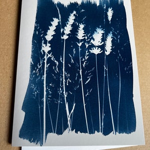 Cartes de vœux vierges à motif floral cyanotype rappelant une journée d'été dans le champ de lavande et le jardin fleuri