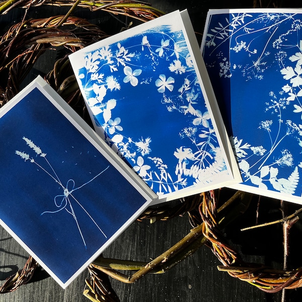 Ensemble de 3 superbes cyanotypes botaniques, 5 x 7 cartes vierges