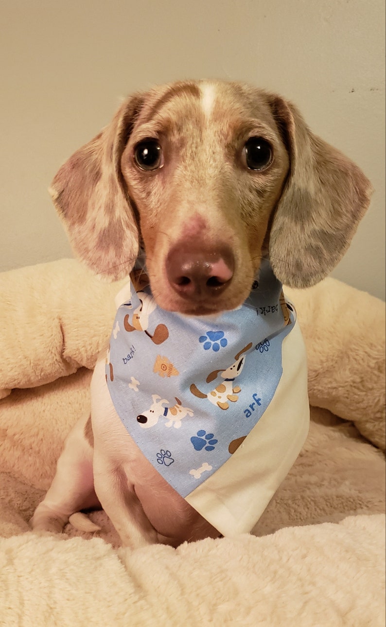 Blue and Plaid Dog Fabric Bandana-Charitable Personalized Reversible Bandana-Custom Dog Bandana-Dog Bandana-Scarf-Dog Fabric