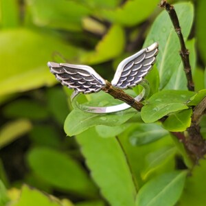 May include: A silver ring with detailed wing design. The ring is set against a backdrop of green leaves, creating a natural and elegant presentation. The wings are intricately detailed, showcasing a textured surface.