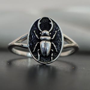 Puede incluir: Anillo de plata con un diseño ovalado que presenta un escarabajo detallado. El escarabajo está centrado en un fondo oscuro y texturizado. El anillo tiene un diseño de banda dividida.