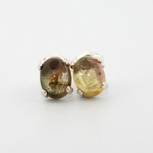 Natural Bi-colored Tourmaline Sterling Silver Earrings NT148