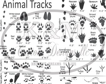 Download Animal Tracks Svg Etsy