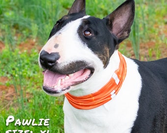 Dog Neck Gaiter, All breeds, No tying Easy Pull On Snood Calming Scarf Lightweight, comfortable. Smash Orange Crackle W/Reflective Strips