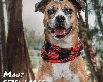 Dog Neck Gaiter, Small and Large breeds, No tying Easy Pull On Snood Calming Scarf Soft lightweight, comfortable. Buffalo Plaid Red
