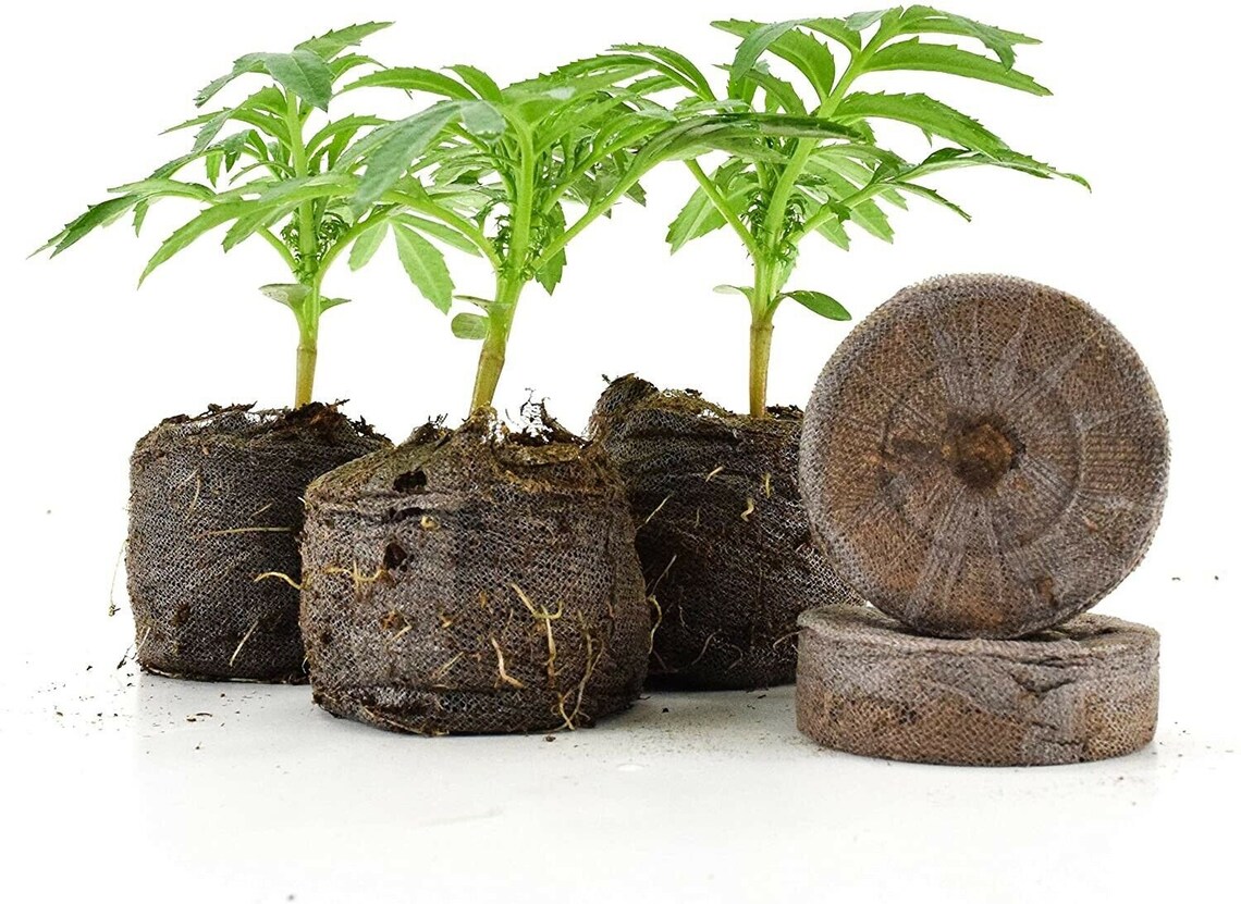 36 Pack Jiffy Peat Pellets Refill Grow Seeds Flower Garden Etsy