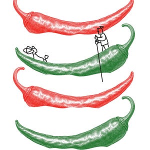 May include: A graphic illustration featuring four chili peppers arranged in a vertical stack. Two peppers are red and two are green. A small black line drawing of a person hiking with a walking stick is positioned on the second green pepper.