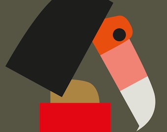 May include: A geometric illustration of a toucan. The bird has a black head, orange beak, and a red body. The background is a muted green colour.