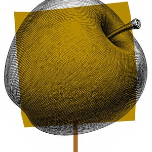 May include: A black and white line art illustration of an apple with a stem, layered over a solid mustard yellow square. A thin brown vertical line extends downward from the bottom of the apple, creating a graphic composition with high contrast.