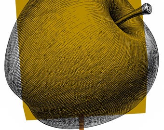 May include: A black and white line art illustration of an apple with a stem, layered over a solid mustard yellow square. A thin brown vertical line extends downwards from the bottom of the apple, creating a graphic composition with high contrast.