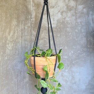 Elegant Plant Hanger /  Minimalist Plant Hanger / Long Plant Hanger / Simple Plant Hanger / Decorative Plant Hanger