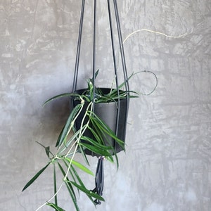Elegant Plant Hanger /  Minimalist Plant Hanger / Long Plant Hanger / Simple Plant Hanger / Decorative Plant Hanger