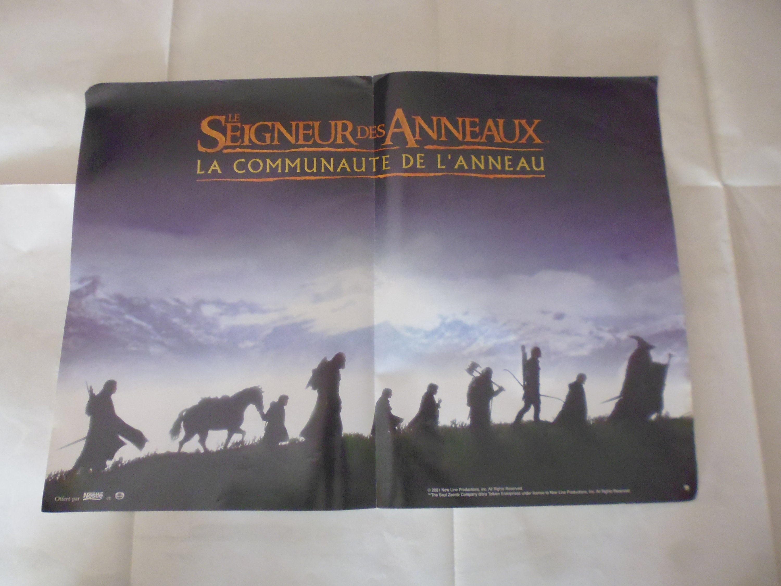 Le Seigneur Des Anneaux Affiche Cinéma Originale