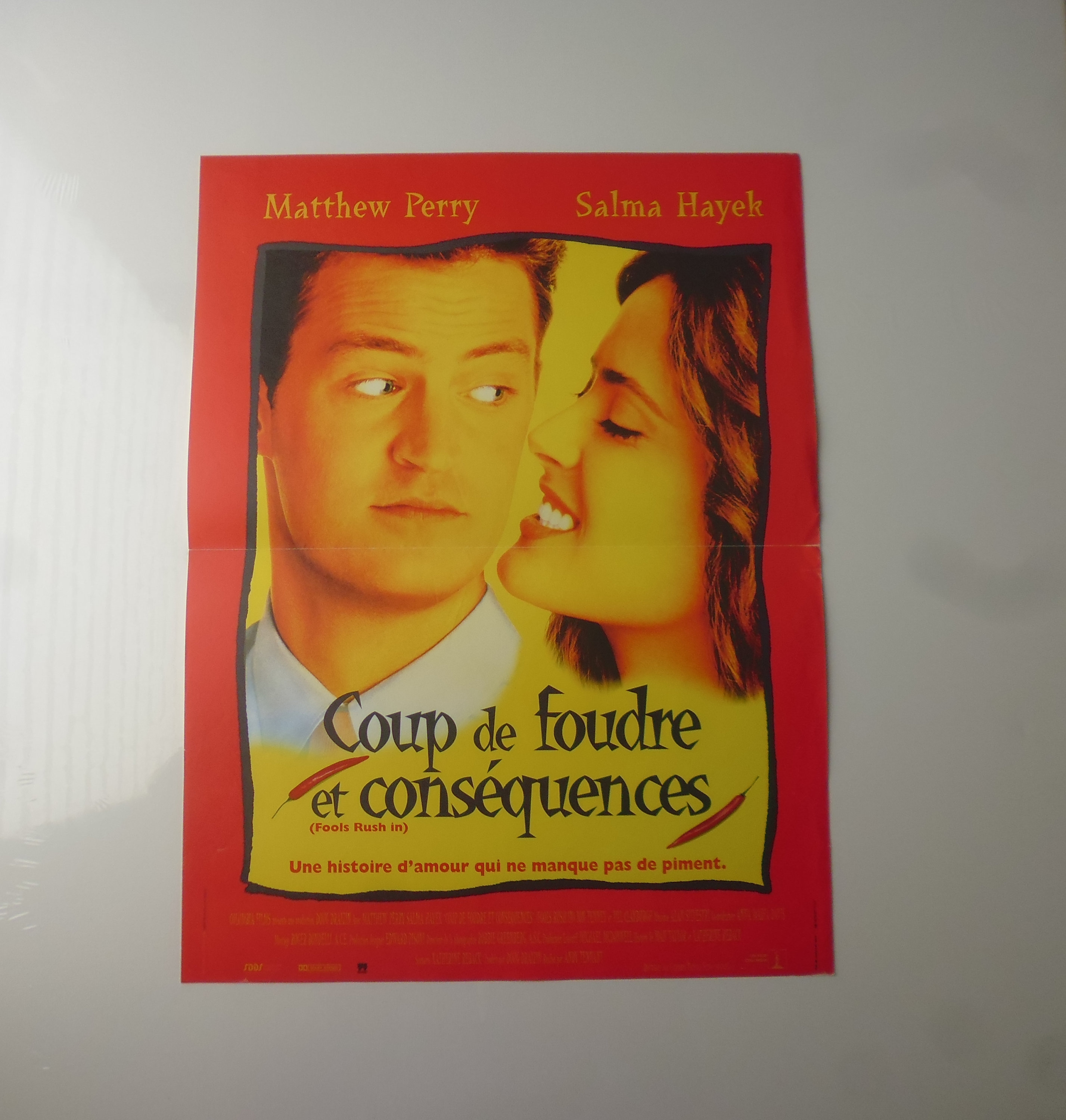 Salma Hayek Coup de Foudre Affiche Cinéma Originale