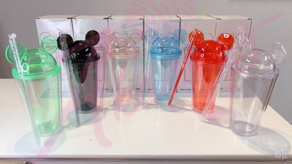 16 Oz Double Wall Reusable Plastic Clear Tumblers with Straw for