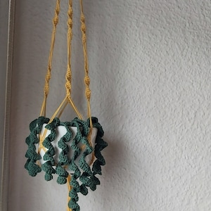 Könnte beinhalten: Ein Makramee-Pflanzenhänger mit einem weißen Topf und einer grünen gehäkelten Pflanze. Der Hänger ist aus gelbem Kordel gefertigt und hat unten einen Quasten.