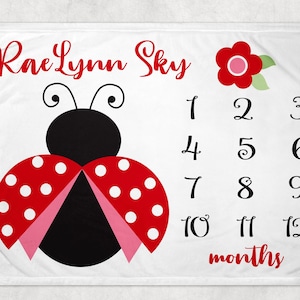 Ladybug Milestone Blanket - Ladybug Baby Girl Blanket - Ladybug Newborn Monthly - Growth Chart Photography - Personalized Baby Shower Gift